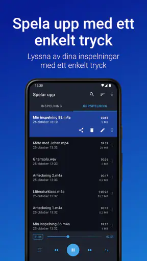 Easy Voice Recorder screenshot