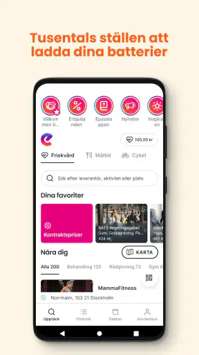 Epassi screenshot