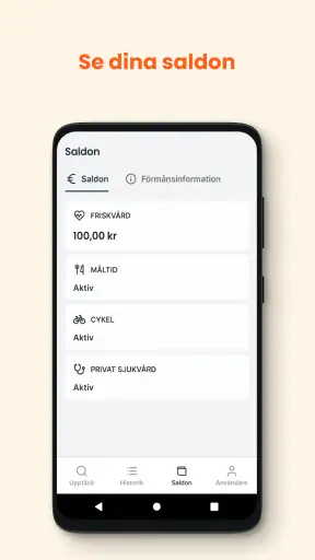 Epassi screenshot