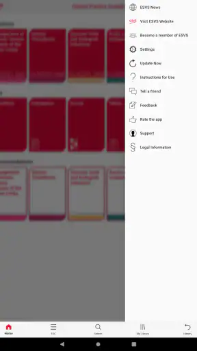 ESVS Clinical Guidelines screenshot