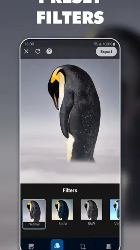 Film Scanner by KLIM screenshot