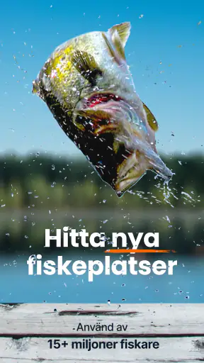 Fishbrain - din fiskeapp screenshot