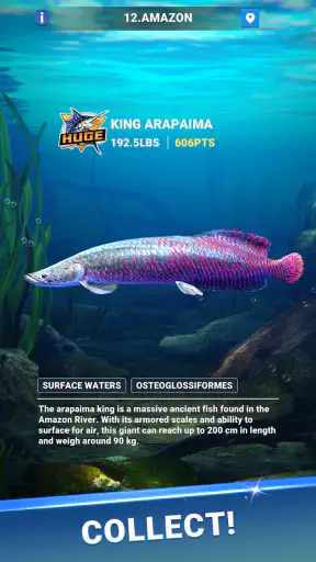 Fishing Travel screenshot