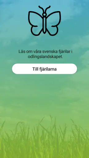 Fjärilar screenshot