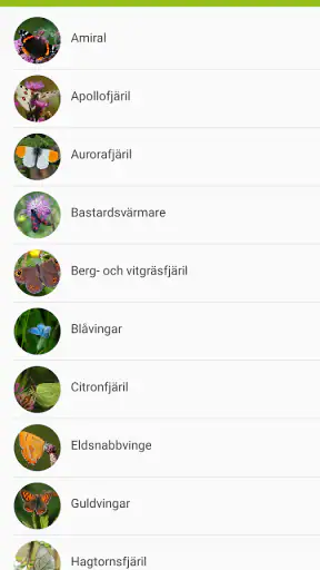 Fjärilar screenshot