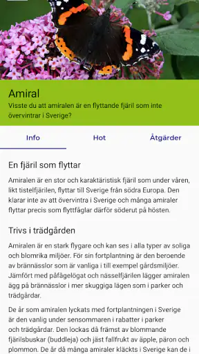 Fjärilar screenshot