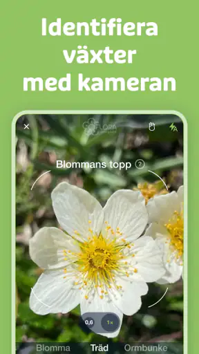 Flora Incognita screenshot
