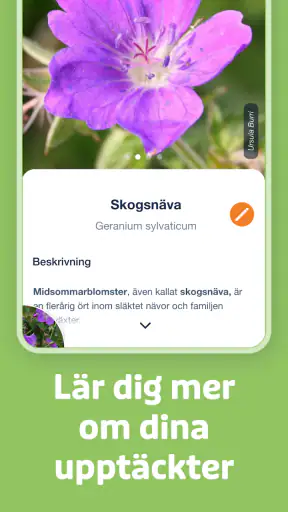 Flora Incognita screenshot