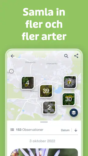 Flora Incognita screenshot