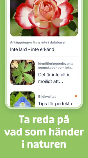 Flora Incognita screenshot
