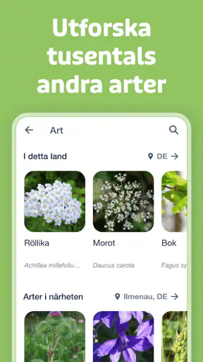 Flora Incognita screenshot