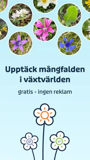 Flora Incognita screenshot