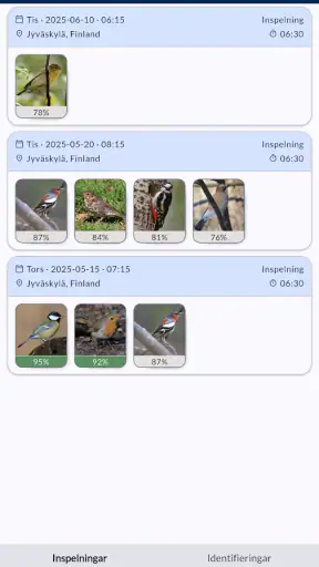 Flyttfåglar - Muuttolinnut screenshot
