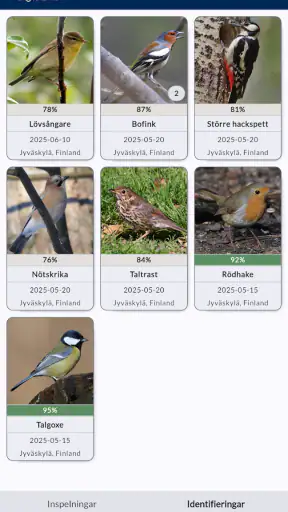 Flyttfåglar - Muuttolinnut screenshot