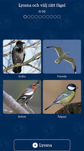 Flyttfåglar - Muuttolinnut screenshot