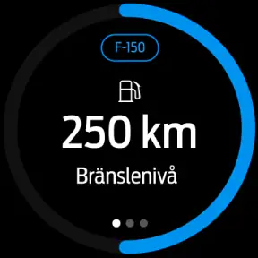 Ford™ screenshot