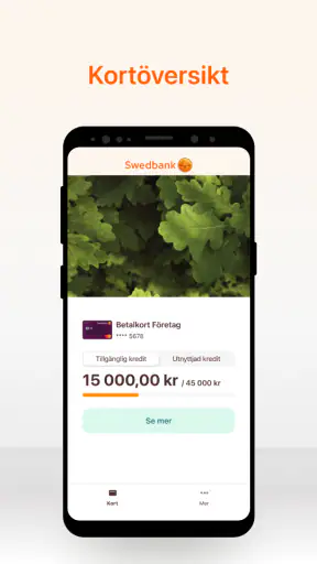 Företagskort screenshot