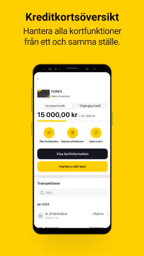 FOREX Kreditkort screenshot