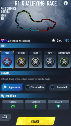 Formula Rising Star screenshot