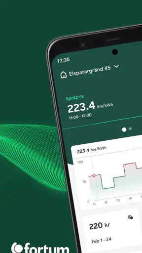 Fortum screenshot