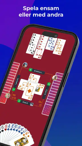 Fun Bridge screenshot