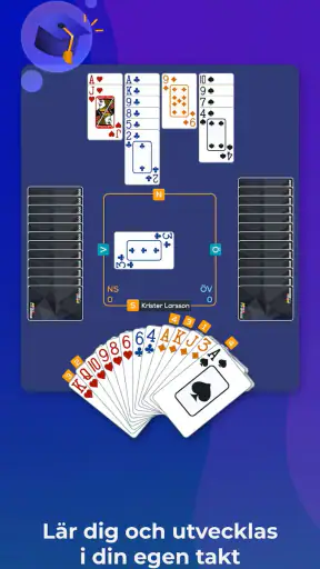 Fun Bridge screenshot