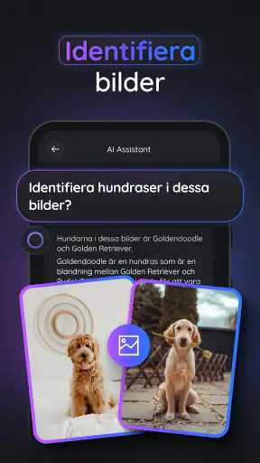 Gemmy AI: Chatt & Assistent screenshot