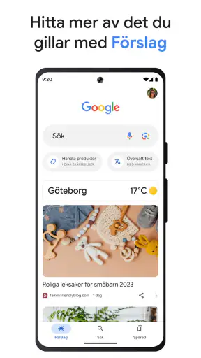 Google screenshot