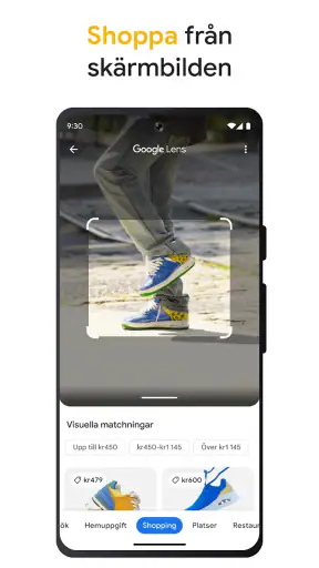 Google screenshot