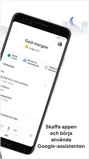 Google Assistent screenshot