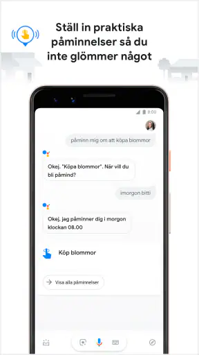 Google Assistent screenshot