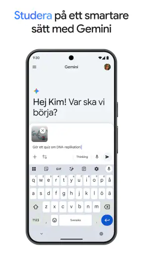 Google Gemini screenshot