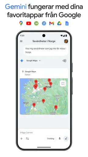 Google Gemini screenshot