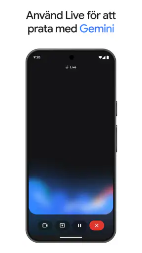 Google Gemini screenshot