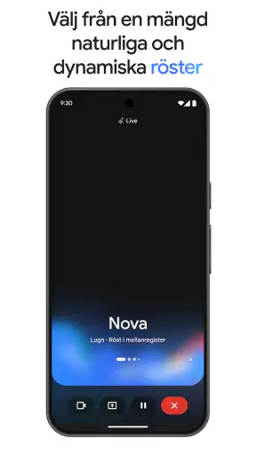 Google Gemini screenshot