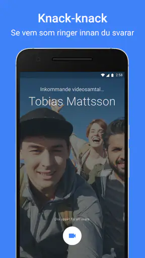 Google Meet screenshot