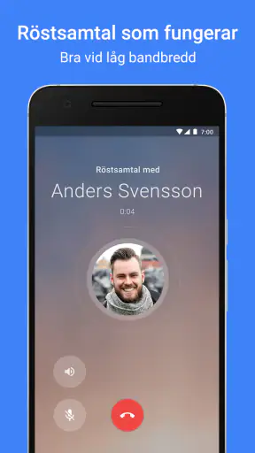 Google Meet screenshot