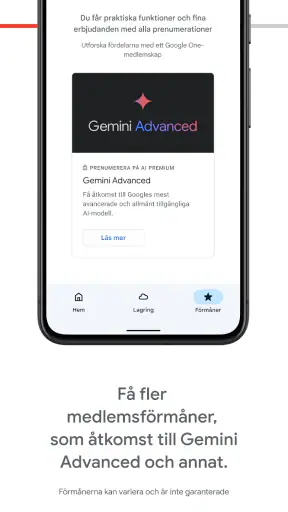 Google One screenshot