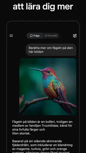 Grok: AI chat på svenska screenshot