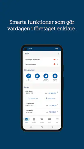 Handelsbanken SE – Företag screenshot