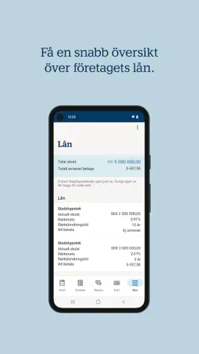 Handelsbanken SE – Företag screenshot