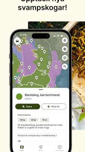 Hitta Skog: Svamp och Bär screenshot