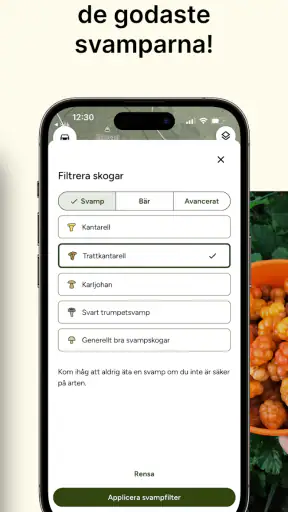 Hitta Skog: Svamp och Bär screenshot