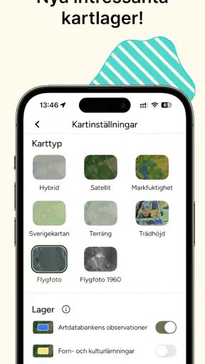 Hitta Skog: Svamp och Bär screenshot