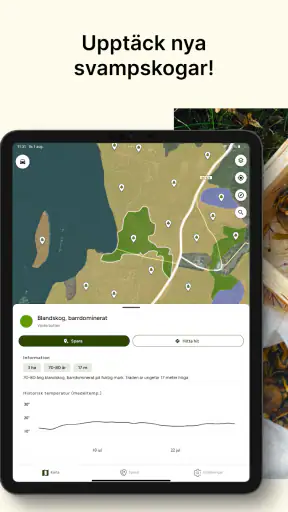 Hitta Skog: Svamp och Bär screenshot