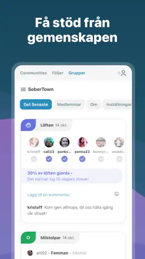 I Am Sober - Jag är nykter screenshot