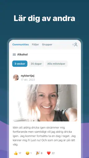 I Am Sober - Jag är nykter screenshot