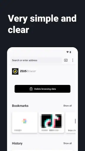 Internet webbläsare - ZEUS screenshot