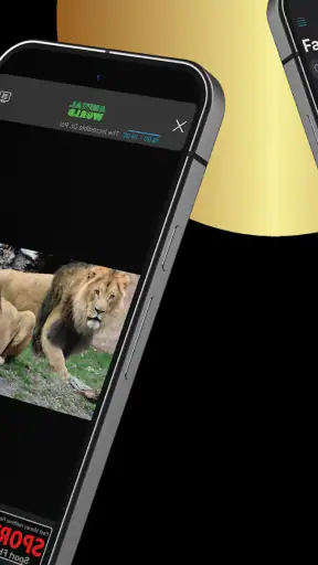 IPTV Streamer screenshot