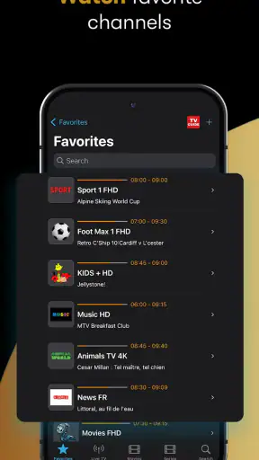 IPTV Streamer screenshot
